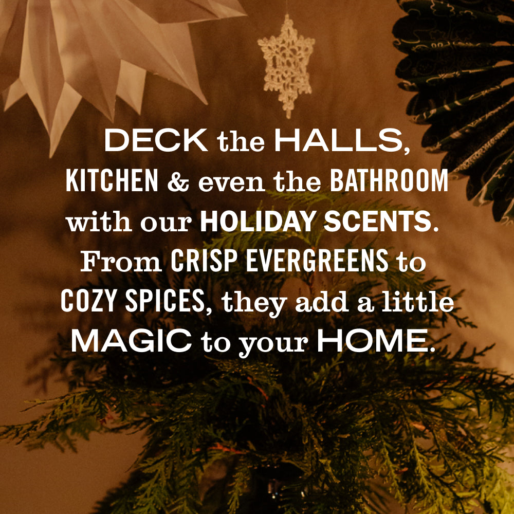Holiday Seasonal Multi-Surface Everyday Cleaner Collection - Image 2