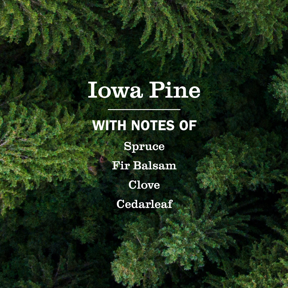 Iowa Pine Plug In Scented Oil Refill. 2-Pack - Image 5