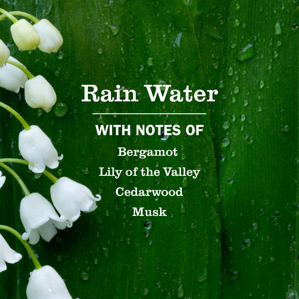 Rain Water Plug In Scented Oil Refill. 4-Pack - Image 4