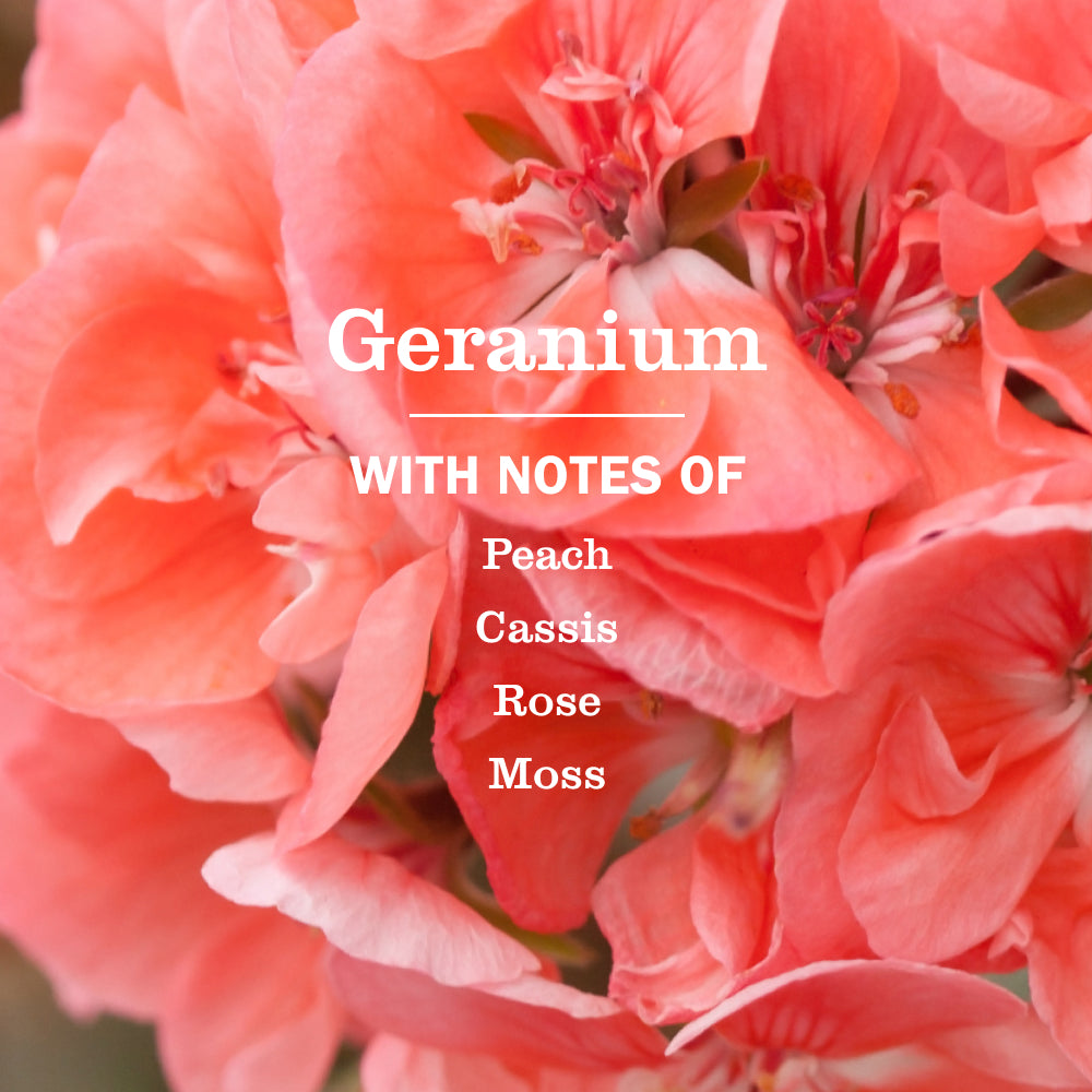 Geranium Multi-Surface Everyday Cleaner - Image 4