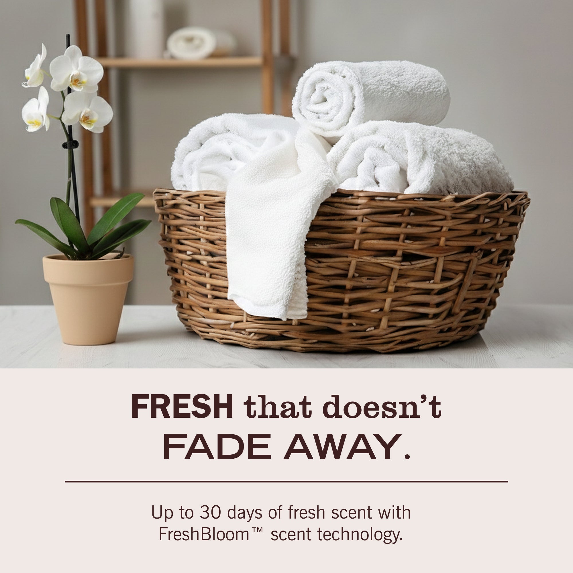 Lavender Laundry Detergent - Image 7