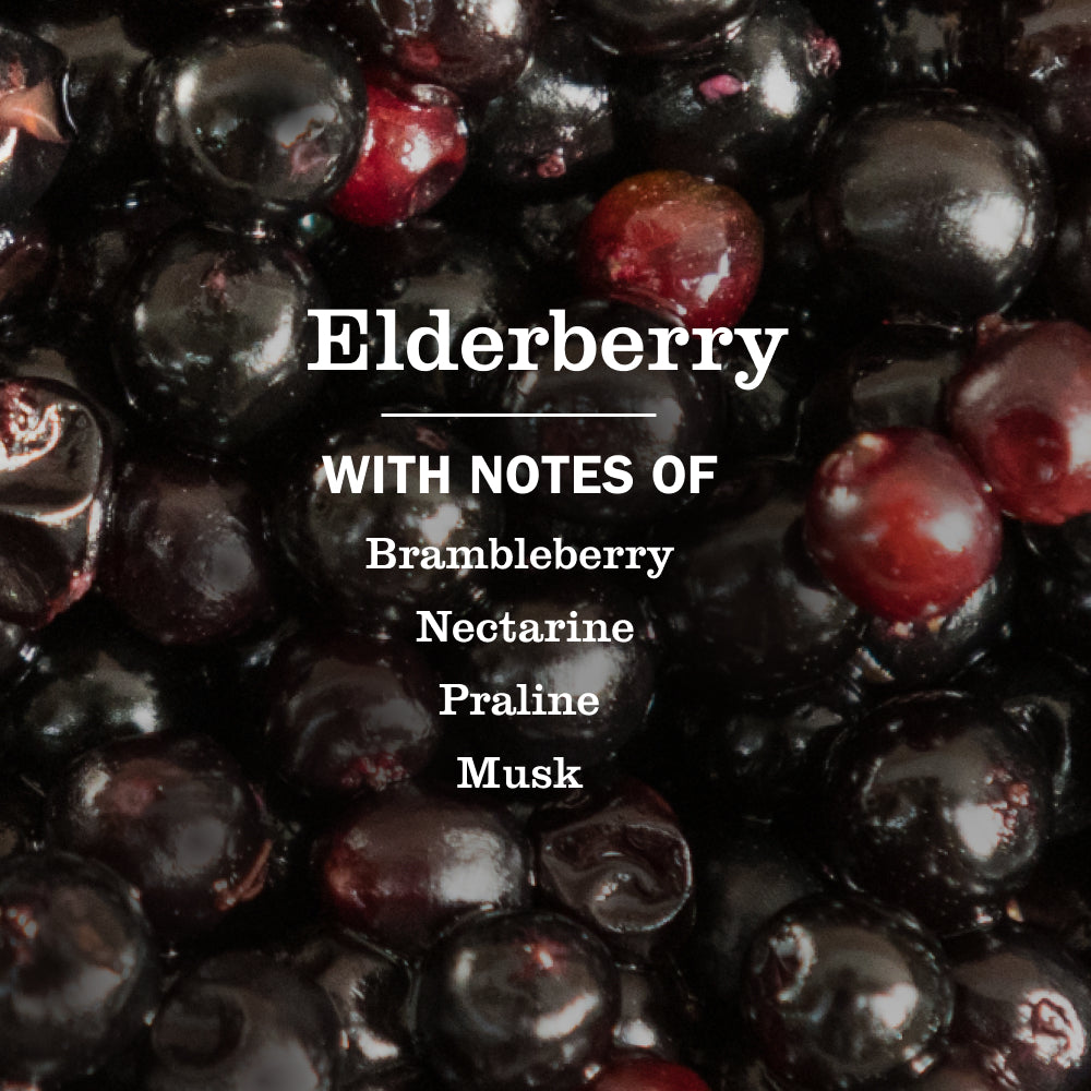 Elderberry Multi-Surface Everyday Cleaner - Image 4
