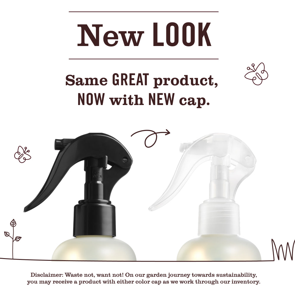 Rain Water Room Freshener - Image 3