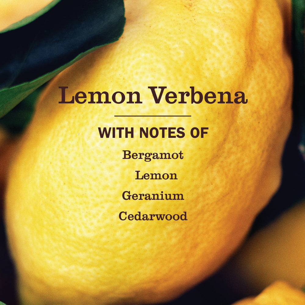 Lemon Verbena Probiotic Drain Maintenance - Image 3