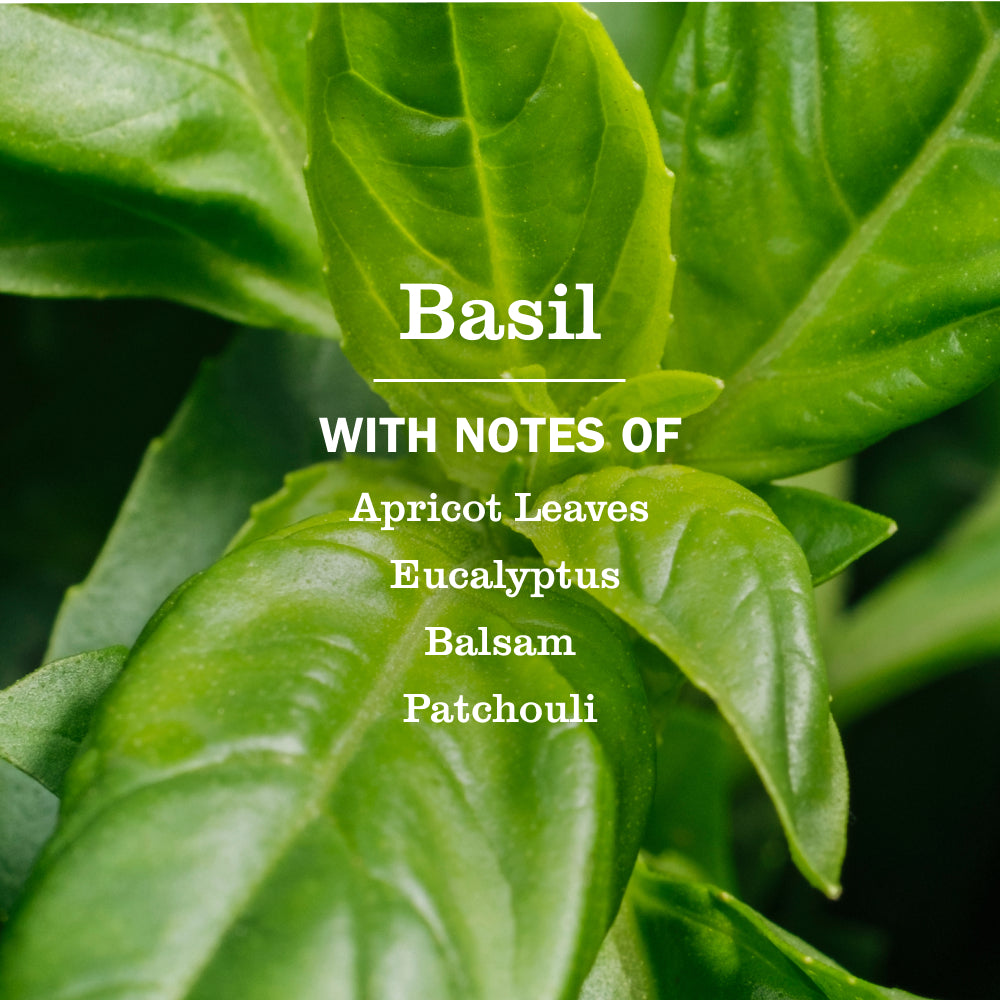 Basil Laundry Detergent - Image 3
