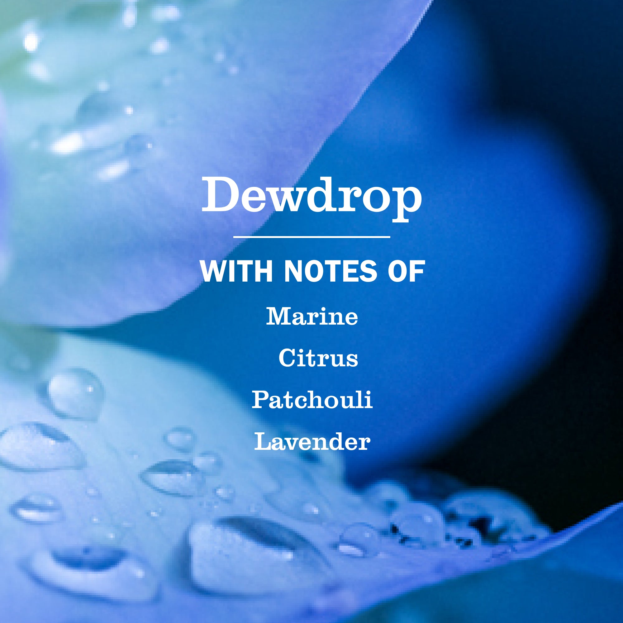 Dewdrop Liquid Hand Soap 3-count Bundle - Image 4