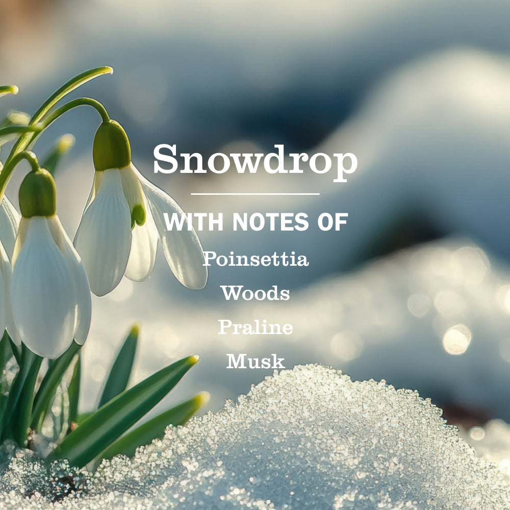 Snowdrop Liquid Hand Soap - Image 4